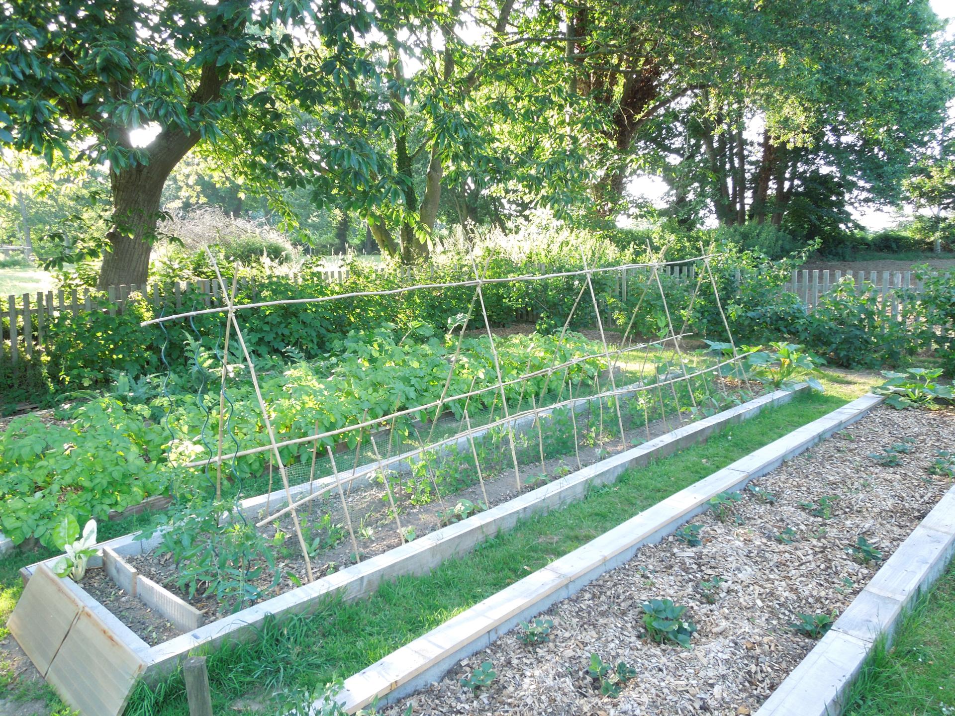 Potager